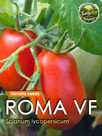 Roma VF Tomato Seeds (Solanum lycopersicum) – Productive plum tomato variety from SunnyHillSeeds.